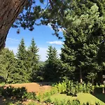 Pinie Lipno * Lipno nad Vltavou