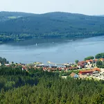 Pinie Lipno *
