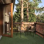 Pinie Lipno Lipno nad Vltavou