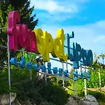 Pinie Lipno Lipno nad Vltavou