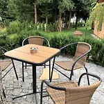 Pinie Lipno * Lipno nad Vltavou