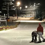 Pinie Lipno * Lipno nad Vltavou