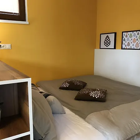 Pinie Lipno Apartment *