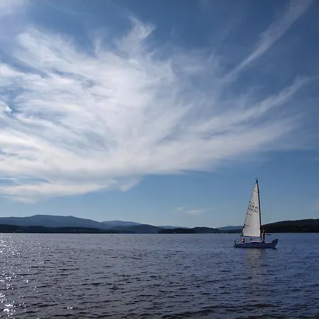 Pinie Lipno Lipno nad Vltavou