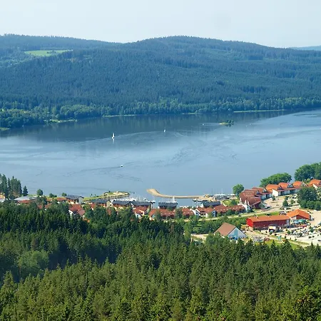 Pinie Lipno *