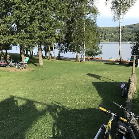 Pinie Lipno