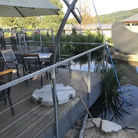 Pinie Lipno * Lipno nad Vltavou