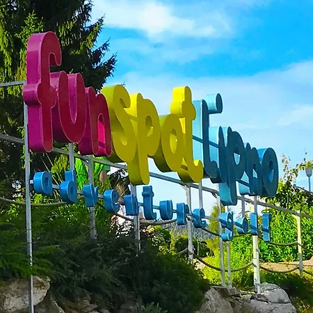 Pinie Lipno Lipno nad Vltavou