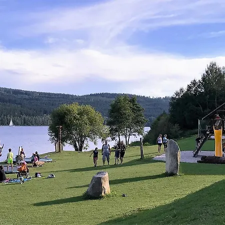 Pinie Lipno *