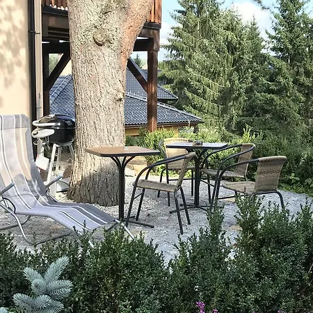 Pinie Lipno Lipno nad Vltavou
