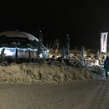 Pinie Lipno Lipno nad Vltavou