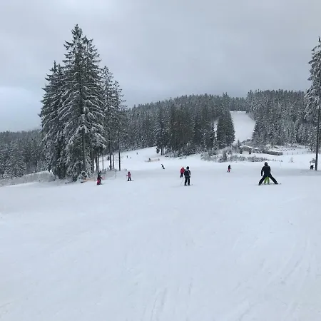 Pinie Lipno Lipno nad Vltavou