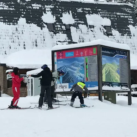 Pinie Lipno