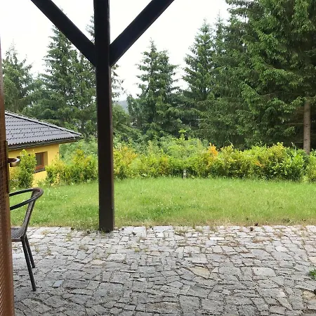 Pinie Lipno