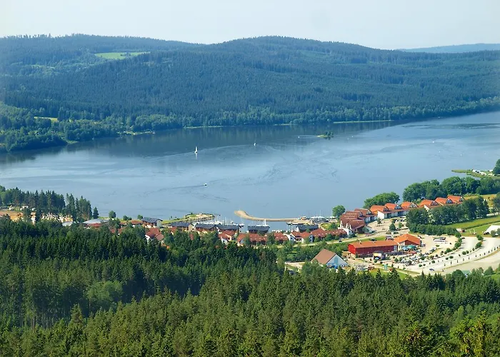Pinie Lipno *