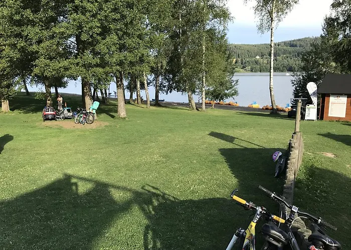 Pinie Lipno